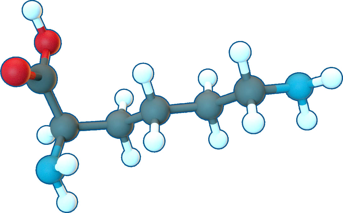 Image of L-Lysine | C6H14N2O2 | Supreme Pharmatech